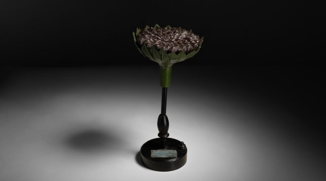 Botanical Models :: Obsolete