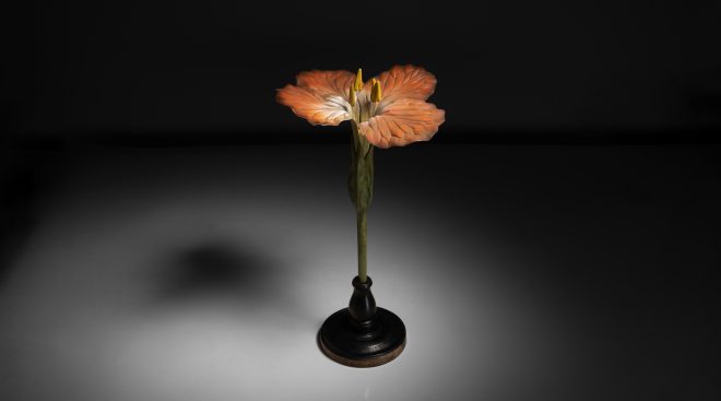 Botanical Models :: Obsolete
