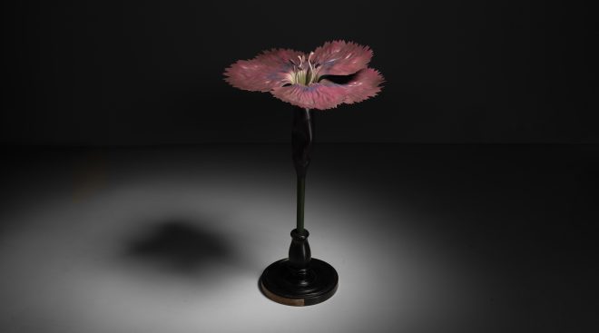 Botanical Models :: Obsolete
