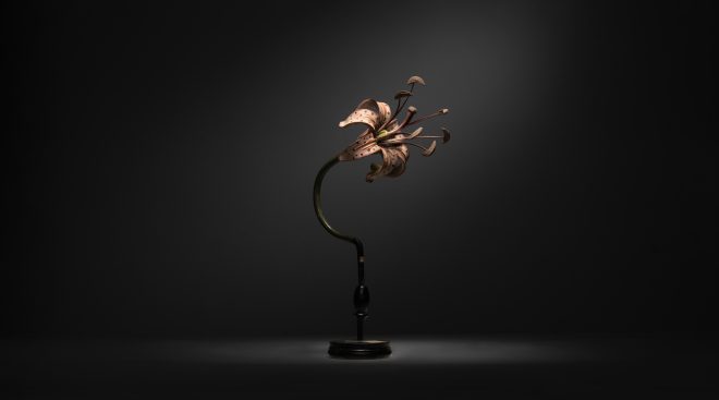 Botanical Models :: Obsolete